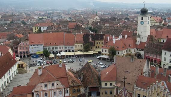 Primul oraș din România care a pregătit o cușcă pentru urșii periculoși veniți "în vizită" 