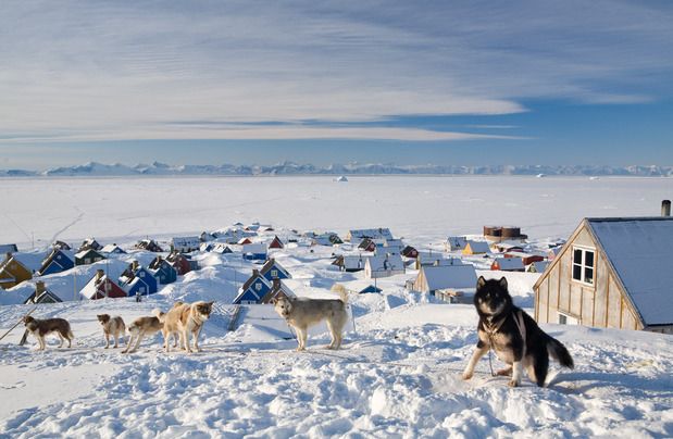 Nordicii sunt fermi: „Groenlanda nu e de vânzare!” Donald Trump, totuși, credează greu
