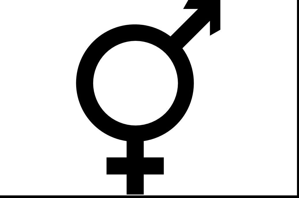 Cel de-al treilea sex, recunoscut oficial în Germania: Ce sunt intersexualii?