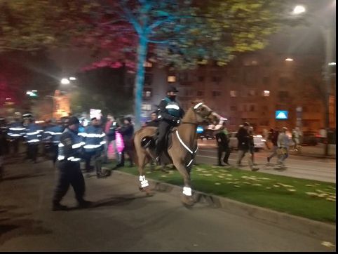 Vrei să protestezi? Jandarmeria te învaţă cum să o faci (VIDEO)