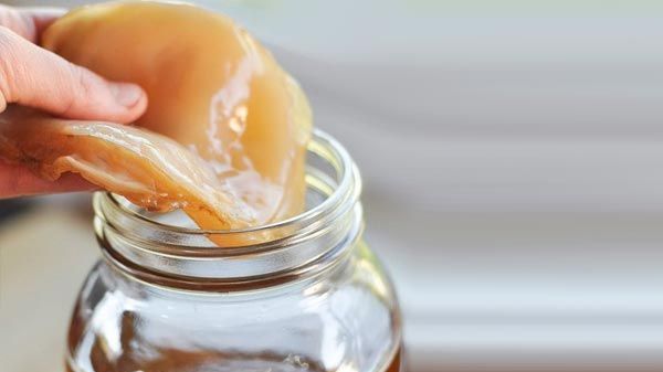 În urmă cu 2000 de ani, chinezii descopereau această ciupercă. S-a uitat de ea, însă efectele ei...