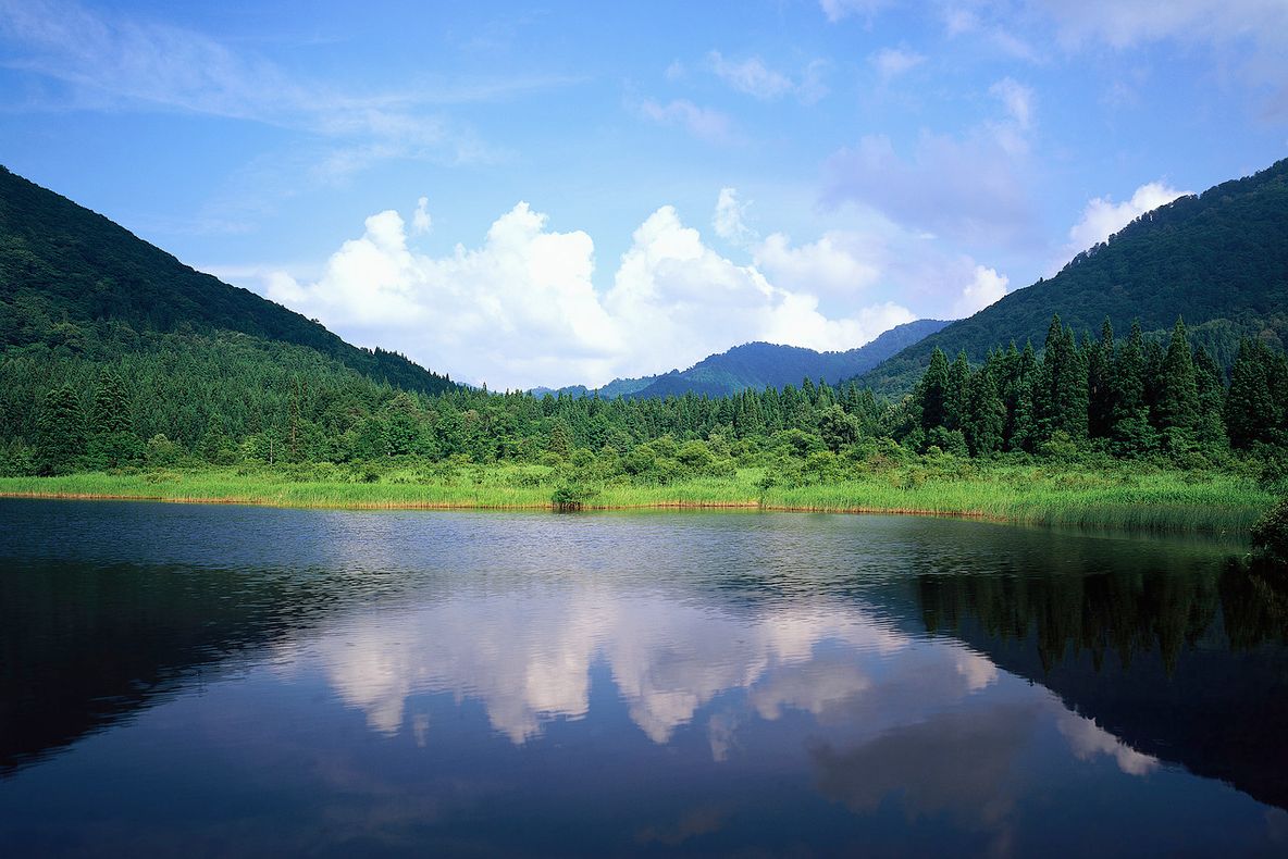 Imagini ingredibile surprinse în Anglia: Poate merge pe apă!