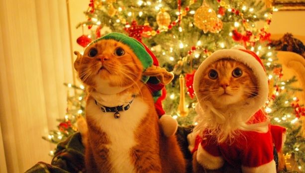 În ce zi pică anul acestea Crăciunul