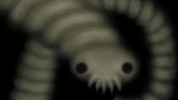 Descoperire înspăimântătoare în intestinele soldatului nord-coreean dezertat luni: ”Era enorm”