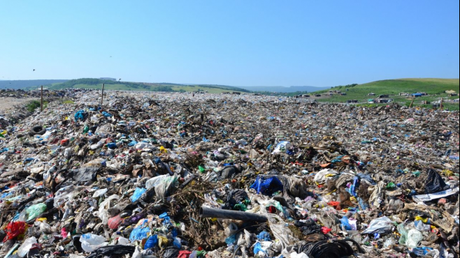 Descoperire teribilă la groapa de gunoi Pata Rât. Angajaţii de la salubritate, şocaţi