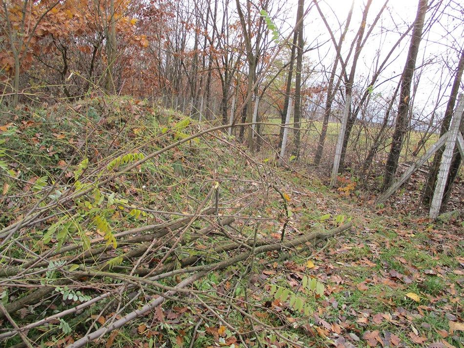 "MASACRUL" unor DOREI de la ENEL. Oamenii şi-au pus mâinile în cap când au văzut dezastrul