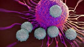 Alimentul care provoacă și extinde cancerul în tot organismul