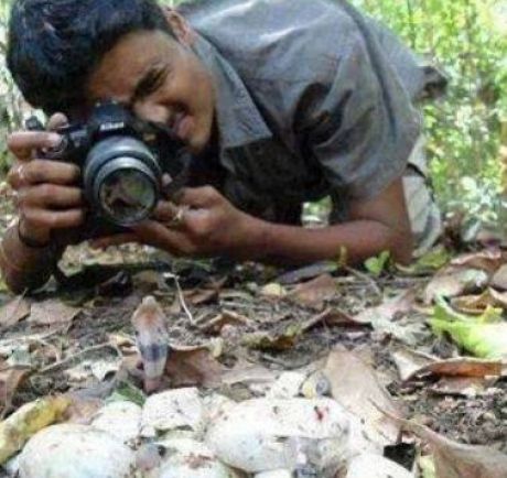 Fotografia un cuib de şerpi. Nu știa ce se întâmplă în spatele său..