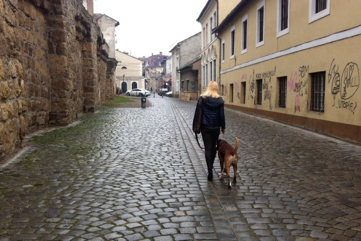 Descoperire macabră făcută de trecători pe o stradă din oraş