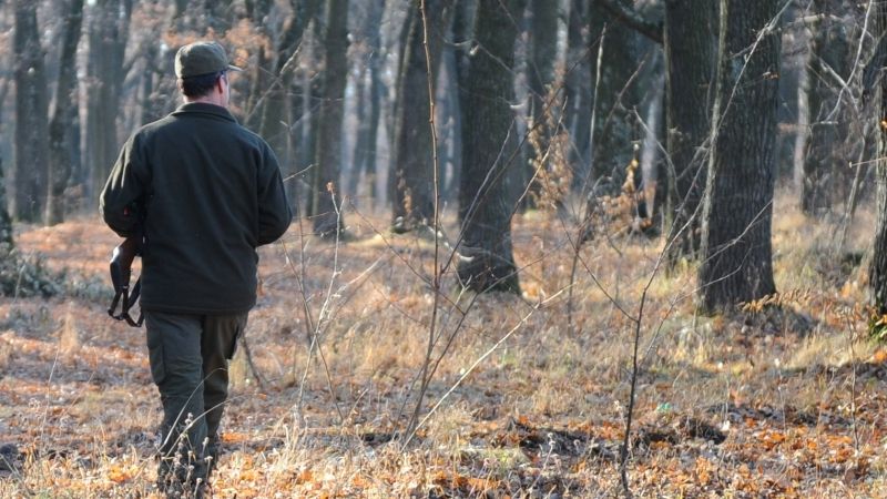 Pădurar agresat și sechestrat de persoane surprinse în timp ce tăiau ilegal arbori