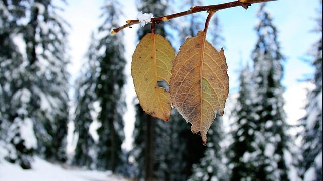 Schimbare neașteptată a vremii. Ce temperaturi vom avea miercuri, joi și vineri
