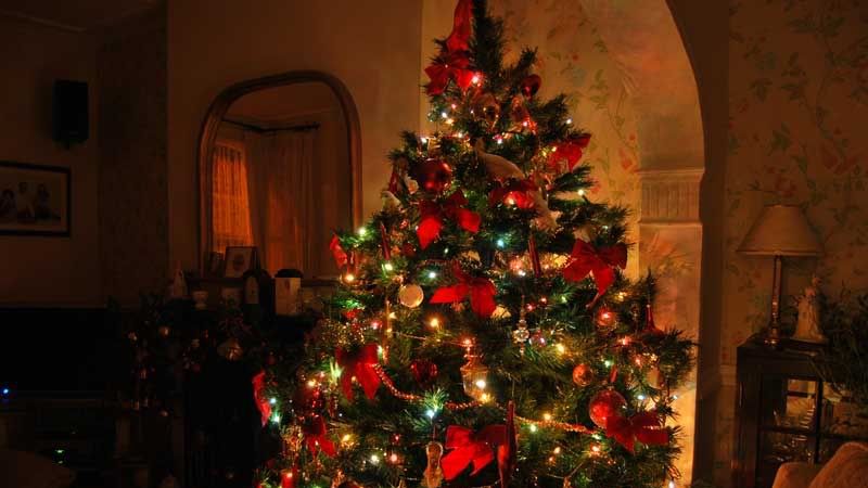 Când se despodobeşte, de fapt, bradul de Crăciun. Multă lume nu ştie!