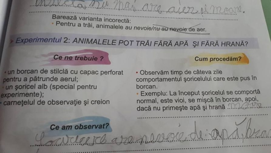 EXPERIMENT MACABRU într-un auxiliar de clasa a II-a. Și inspectorii sunt șocați de cerință