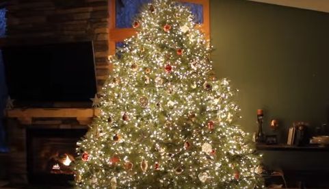 Arată ca un brad de Crăciun obişnuit. Ce se întâmplă când se sting luminile!