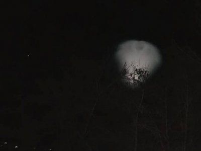 Apariţie misterioasă, în Bucovina, imediat după Crăciun. "Am crezut că e un OZN"