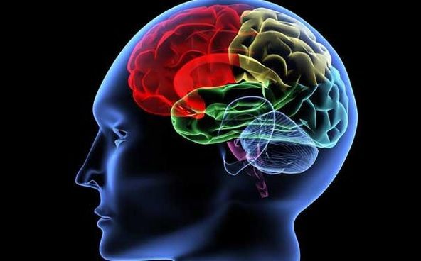 Ce se întâmplă cu creierul după ce mori