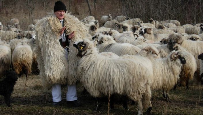 Povestea uluitoare a ciobanului care la 100 de ani muncește ca în tinerețe: Nu mă simt deloc bătrân