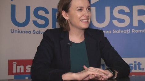 Chichirău, plângeri împotriva lui Nicolae la Senat și la Consiliul pentru Combaterea Discriminării