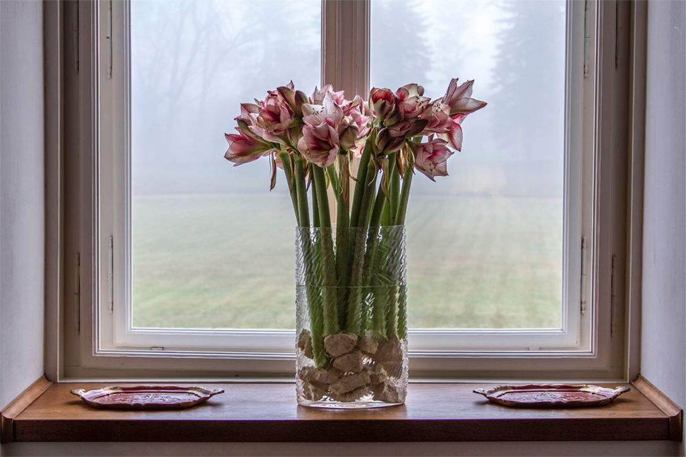 Imagini CUTREMURĂTOARE postate de Familia Regală, după moartea Regelui Mihai. Ce se vede