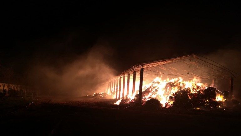 Incendiu violent la Herghelia Mangalia