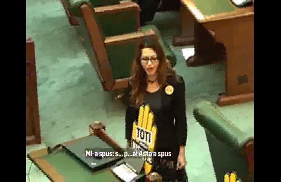 Limbaj suburban. Cuvinte obscene de la PSD pentru o senatoare USR care împărțea cărți