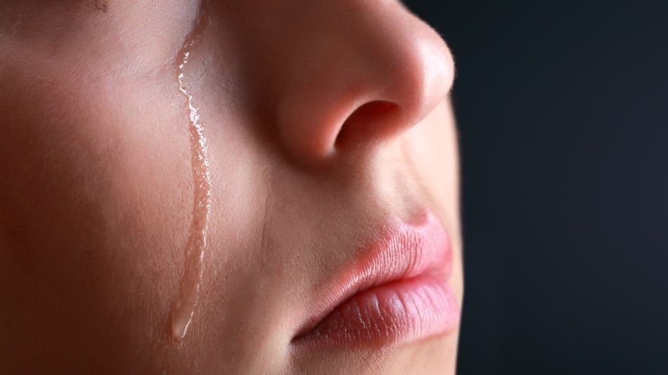 VIDEO. Omagiu răscolitor adus Regelui Mihai   