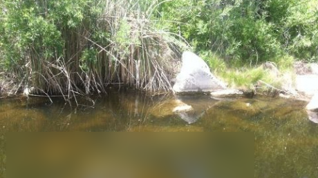 Iubiţii se sărutau pe malul lacului, apoi au văzut o maşină în apă