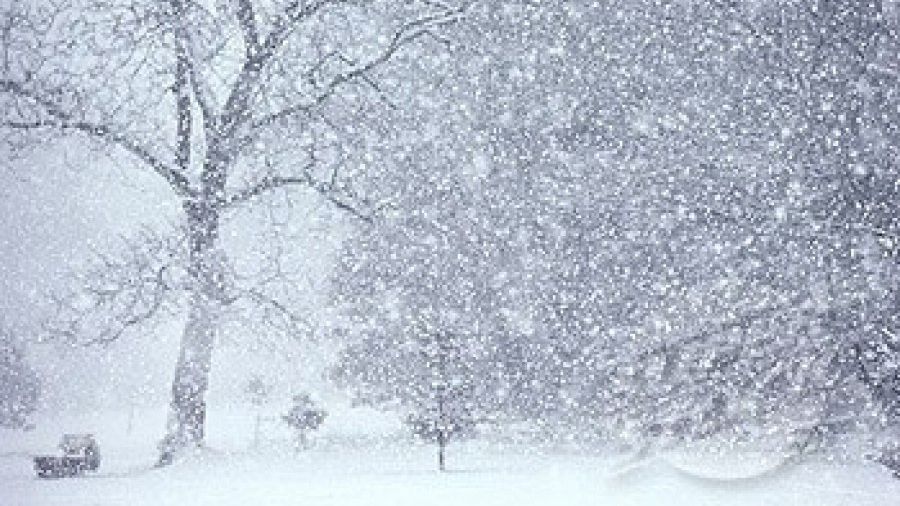 Ninsoarea din Franţa dă peste cap cursele aeriene: Air France anulează zboruri în regiunea Parisului