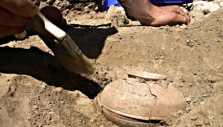 Au găsit o oală veche de 800 de ani, plină cu seminţe. Când au văzut ce a răsărit, au îngheţat! 