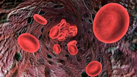 9 secrete de alimentaţie care îţi scad colesterolul