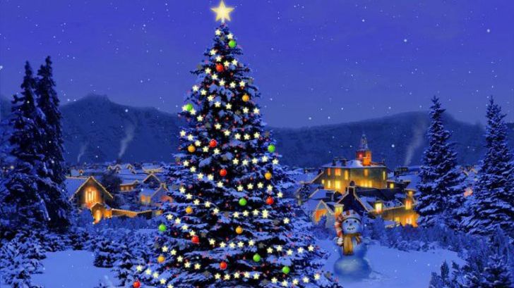 Sezonul sărbătorilor! De unde provine obiceiul împodobirii brazilor. Nu știai asta