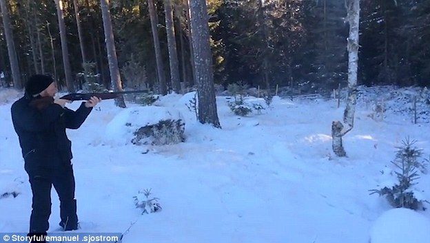 APROAPE DE NECREZUT! Cum se taie copaci cu pușca (VIDEO) 