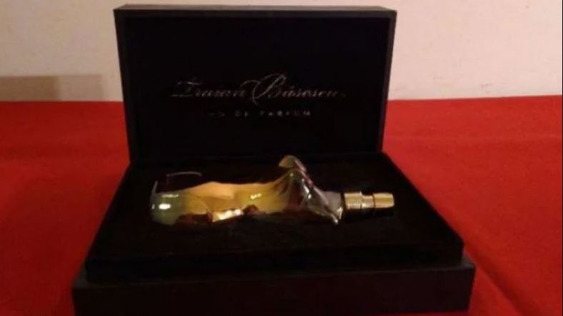 Parfum Traian Băsescu. Cadoul misterios găsit în vila afaceristului Anghelescu
