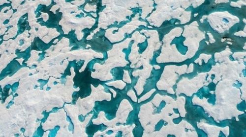 Neurologii au decis: cei care văd ursul pe aceste calote glaciare au IQ-ul pentru a reuşi în viaţă