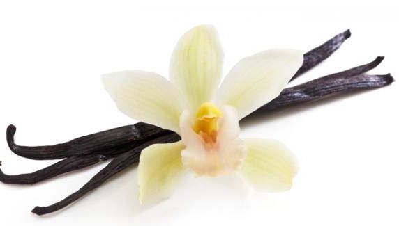 Vanilia are proprietăți afrodiziace și anticancerigene