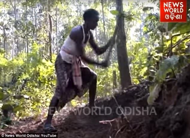 Un tată a SĂPAT singur un drum de 8 km prin munte, pentru ca fiii săi să ajungă la şcoală