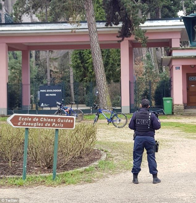 Grădina zoologică din Paris, EVACUATĂ, după ce 52 de maimuţe au fugit