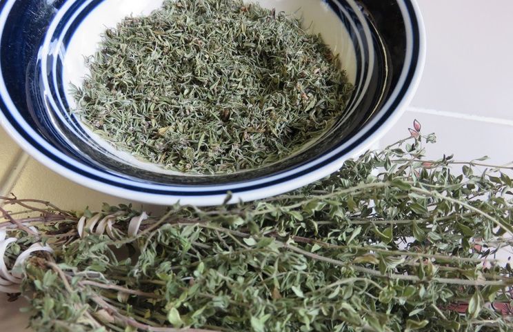 Aşa vindeci complet reumatismul cu CIMBRU! Scapi pentru totdeauna de dureri şi amorţeală