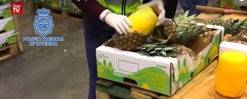 Captură spectaculoasă: un tir de ANANAS cu COCAINĂ (VIDEO)