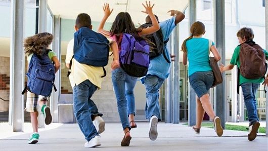 Județele în care elevii nu vor merge la școală vineri   