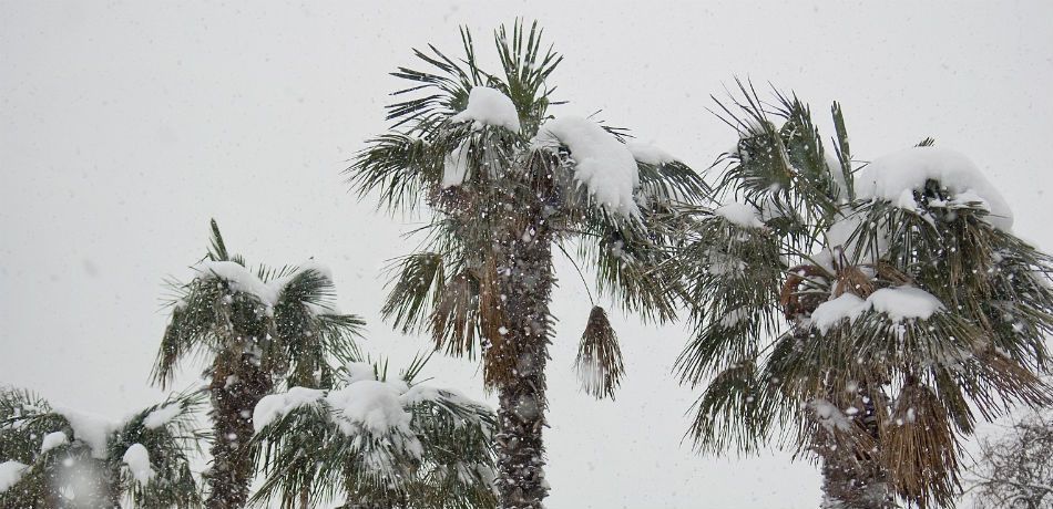 Vreme extremă în SUA: zăpadă în Florida după 3o de ani. ”Ciclonul bombă” lovește azi Coasta de Est