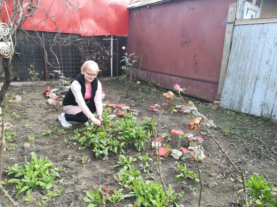 Apariţie neaşteptată într-o grădină din Galaţi, în plină iarnă! A rămas mască când a văzut