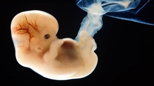 Anchetă Realitatea TV: Cum a "pierdut" statul embioni umani şi cine plăteşte 