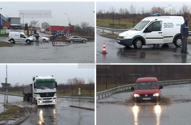 Ploile au făcut ravagii în Banat: zeci de clădiri inundate, drumuri închise (FOTO + VIDEO)