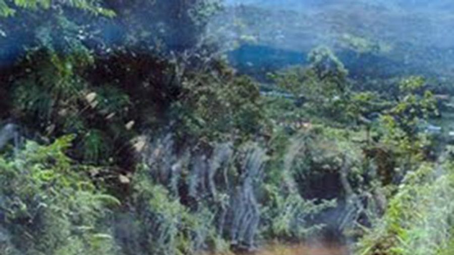 Apariţiile înfricoşătoare care îi însoţeau pe călători în drumul spre Luncani