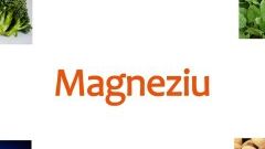 Beneficiile extraordinare ale magneziului pentru organism. Asigură inclusiv sănătatea nervoasă