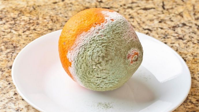 Şi tu tai partea mucegăită din fruct şi consumi restul? Cât de SIGUR este acest obicei