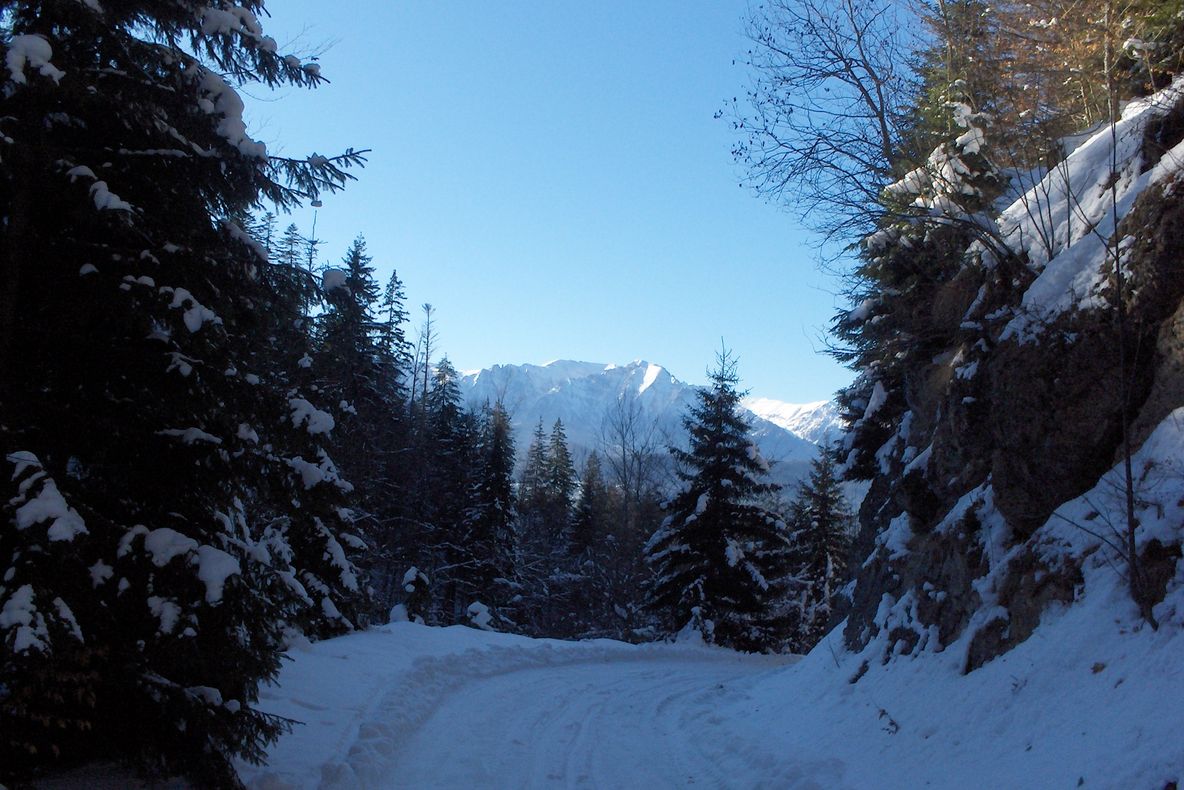 Cinci copii, rătăciți în Masivul Postăvaru. Cum a decurs operațiunea de salvare