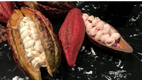 O nouă ciocolată face furori și amenință să preia supremația. Ce conține și de cine este creată