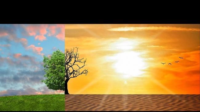 Temperaturi de primăvară pentru ianuarie. Cauza? Omul și industria, la baza schimbărilor climatice